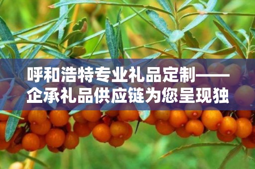 呼和浩特专业礼品定制——企承礼品供应链为您呈现独特定制体验