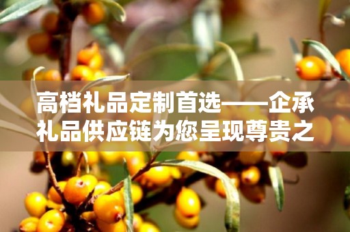 高档礼品定制首选——企承礼品供应链为您呈现尊贵之选